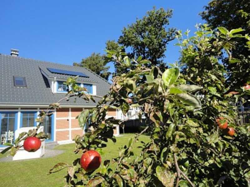 An Der Feuerwache 1 _Luett Matten_ Zingst Ngoại thất bức ảnh